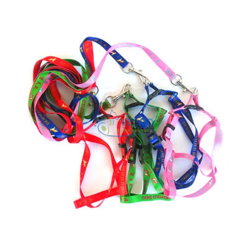 Поводок + Шлейка 1см 1,2м